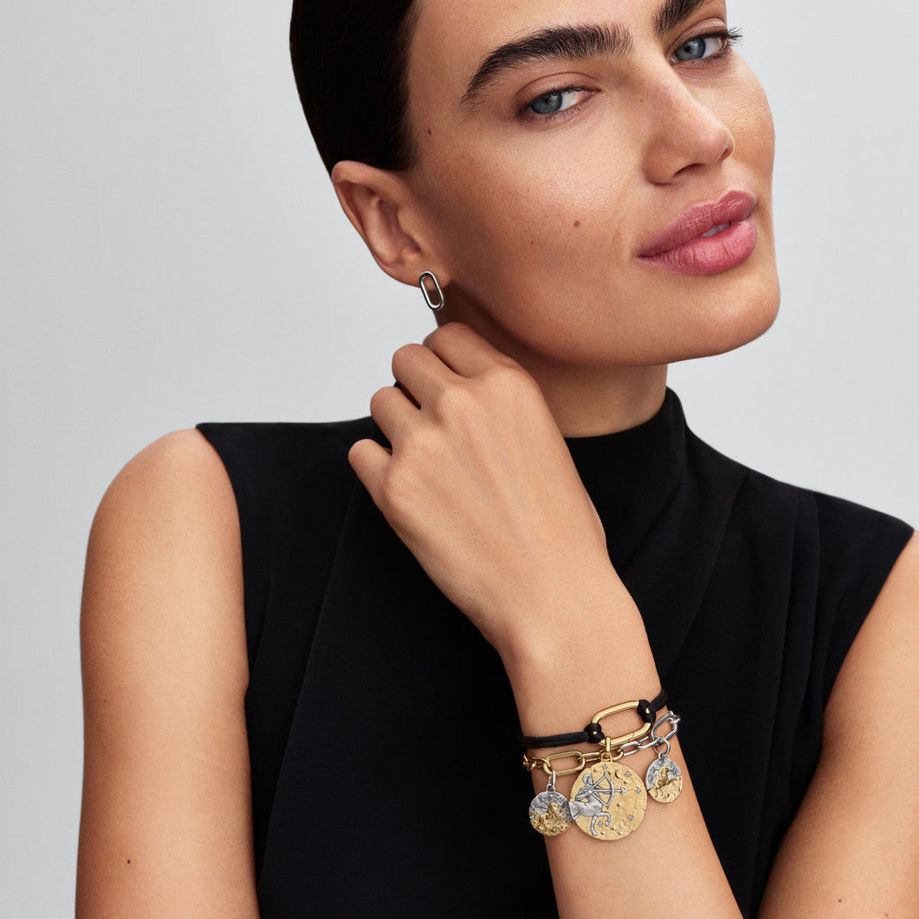 Pandora Gold Leo Medallion Charm
